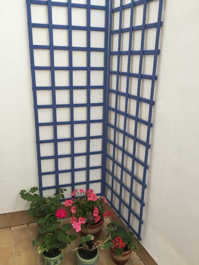Apartamento Balneario Playa Caleta Cádiz Exteriör bild